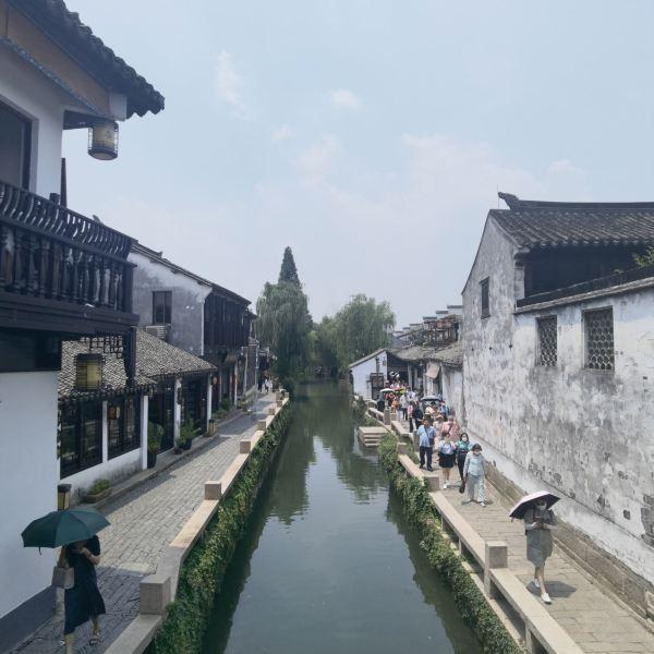 细胞分裂5